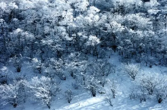 神農架國家森林公園