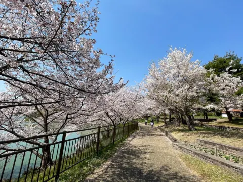 花博記念公園鶴見綠地~風車之丘