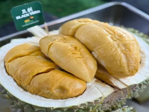 馬六甲果園Eco Do Bem Farm