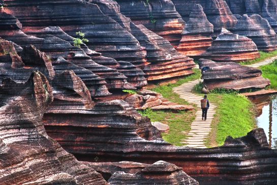 紅石林國家地質公園