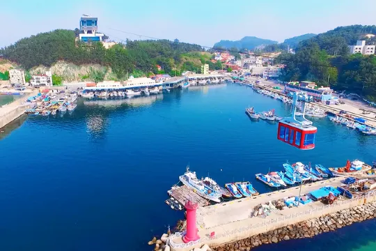 莊湖港海上纜車單程乘搭體驗