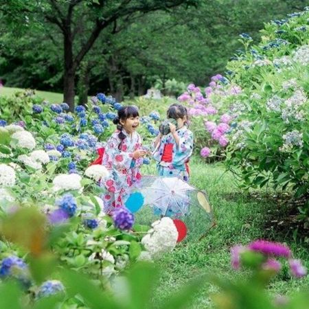 九州の夏 6天賞花溫泉之旅 九州自然動物公園非洲 Safari體驗、「日本三大名城」熊本城、由布院溫泉街、久住花公園、稻佐山展望台(乘玻璃列車)、海之中道海濱公園