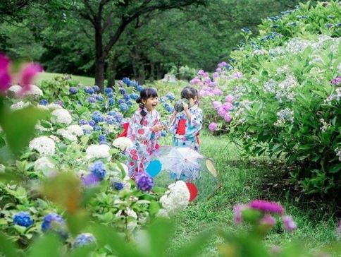 九州の夏 6天賞花溫泉之旅 九州自然動物公園非洲 Safari體驗、「日本三大名城」熊本城、由布院溫泉街、久住花公園、稻佐山展望台(乘玻璃列車)、海之中道海濱公園