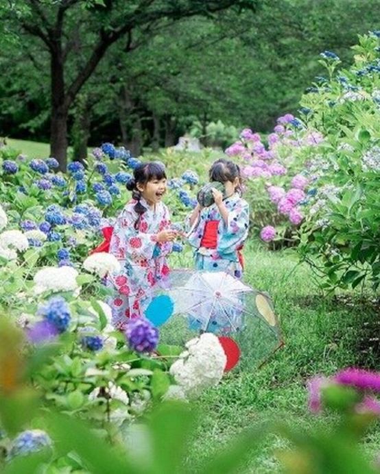 九州の夏 6天賞花溫泉之旅 九州自然動物公園非洲 Safari體驗、「日本三大名城」熊本城、由布院溫泉街、久住花公園、稻佐山展望台(乘玻璃列車)、海之中道海濱公園