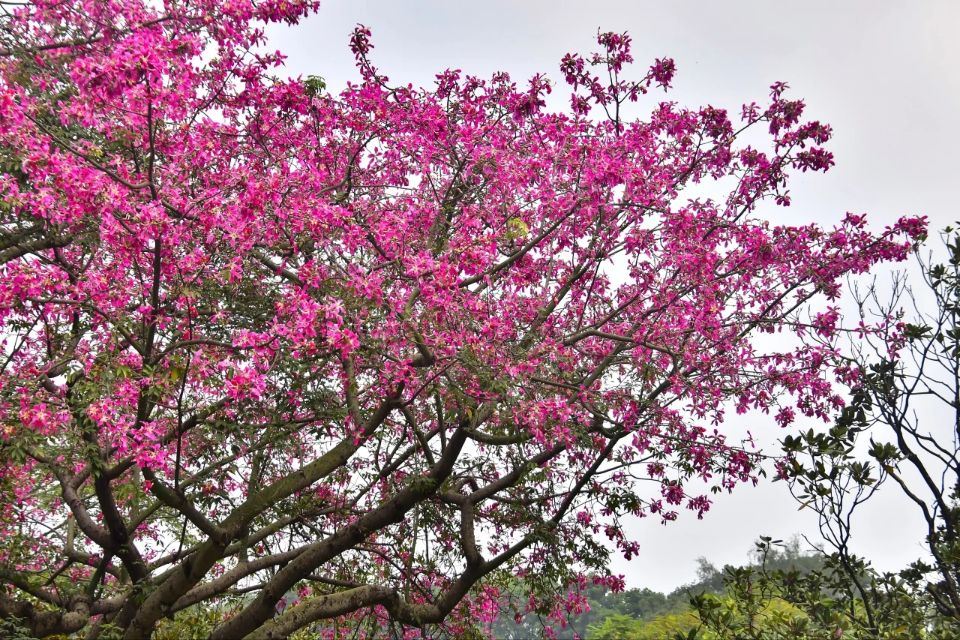 雲蘿植物園