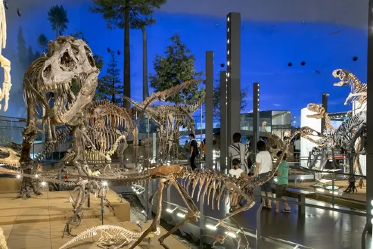 福井恐龍博物館