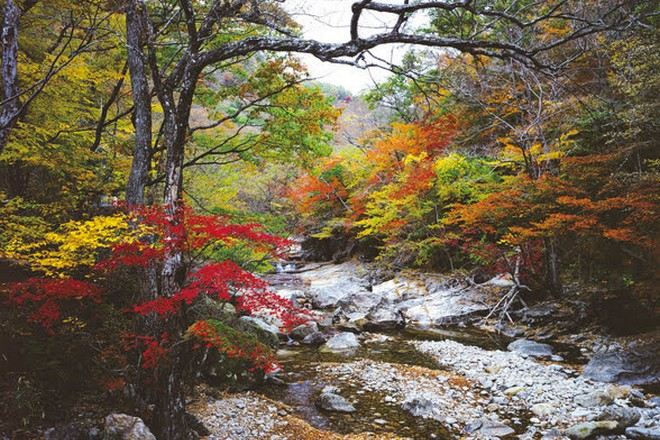 智異山國立公園