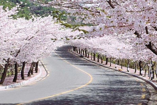 八公山道立公園