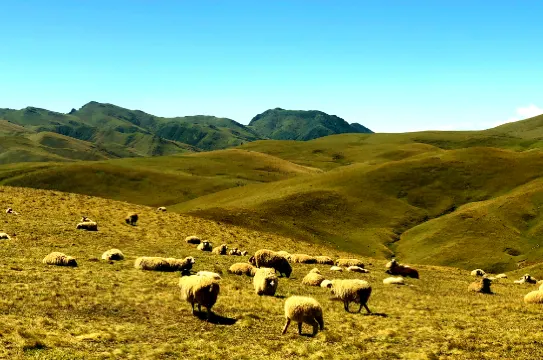 眺望犀牛觀景點