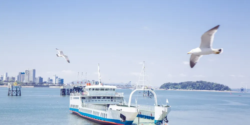 月尾島海鷗船體驗