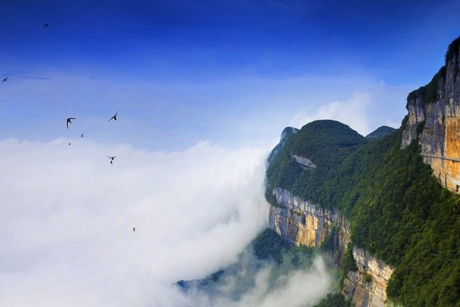 金佛山國家森林公園