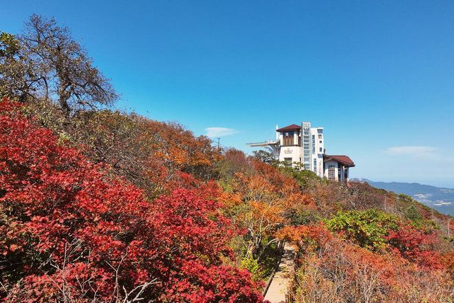 發旺山觀光纜車+Monapark Skywalk