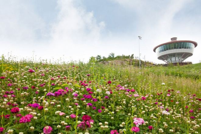 High1～Mountain Top