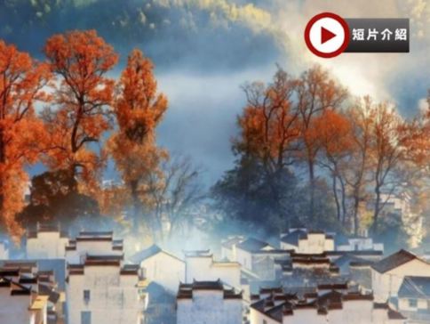 【4鑽】🍁江西賞秋、人間仙境5天純玩高鐵團🍁人氣賞楓勝地~婺源石城、篁嶺曬秋、鳳凰溝賞紅楓及銀杏、菊徑村賞楓、信江書院百年銀杏、《全港獨家：婺女洲+葛仙村》、 滕王閣、品嚐正宗軍山湖大閘蟹