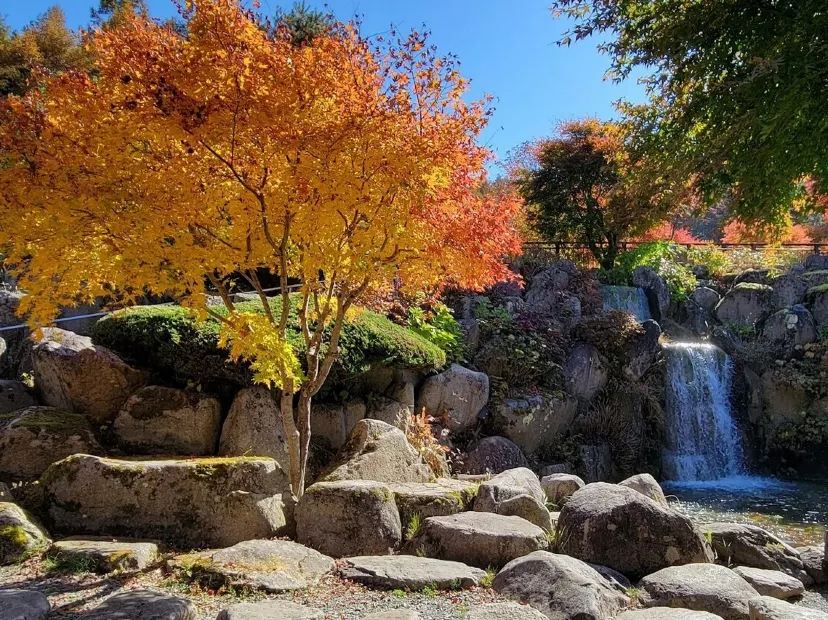 山中湖花之都公園~清流之里