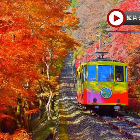 東京、秋の富士山 賞景購物6天之旅 「千葉三大名山」鋸山(包乘登山纜車)、山中湖花之都公園~清流之里/高尾山(賞紅葉)、富士合掌村/河口湖紅葉迴廊、富士山五合目、成田山新勝寺