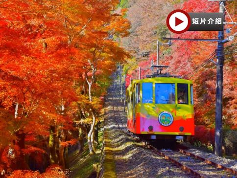 東京、秋の富士山 賞景購物6天之旅 「千葉三大名山」鋸山(包乘登山纜車)、山中湖花之都公園~清流之里/高尾山(賞紅葉)、富士合掌村/河口湖紅葉迴廊、富士山五合目、成田山新勝寺