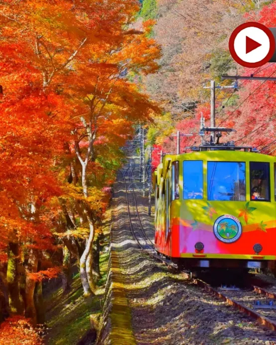 東京、秋の富士山 賞景購物6天之旅 「千葉三大名山」鋸山(包乘登山纜車)、山中湖花之都公園~清流之里/高尾山(賞紅葉)、富士合掌村/河口湖紅葉迴廊、富士山五合目、成田山新勝寺