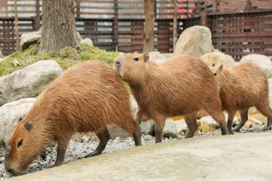 蘭陽動植物王國