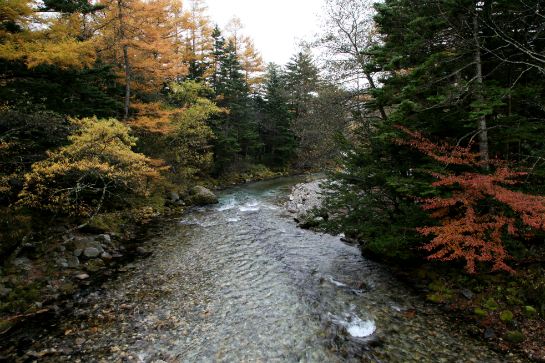 上高地紅葉