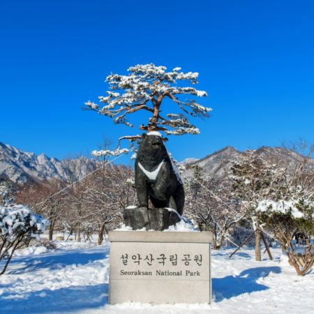 高城+束草+首爾6天冬日賞景之旅 ※【雙重蟹宴】無限量任食東海名物紅蟹+藍絲帶認證食府~DeoDeo醬油蟹放題 ※尺山天然溫泉體驗、華蓋山單軌車+天空步道展望台、坡州山葡萄農園、北韓領袖金日成別墅