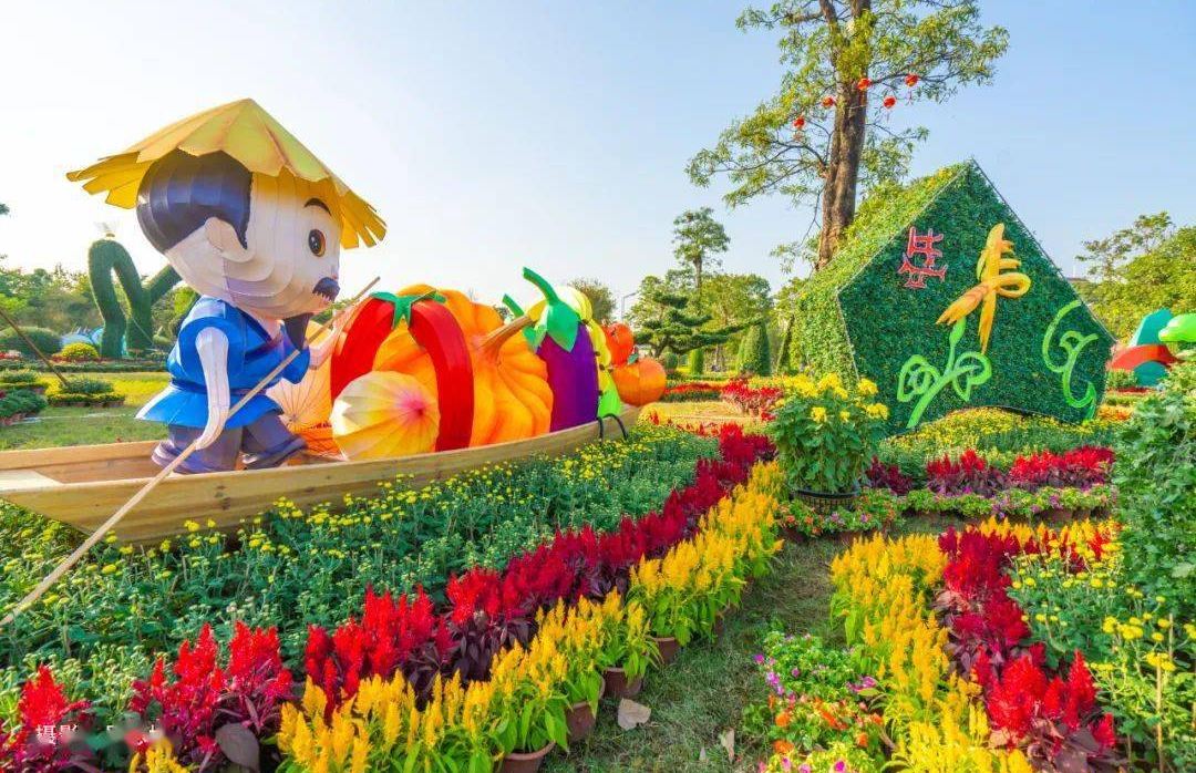 中山小欖菊展盛會