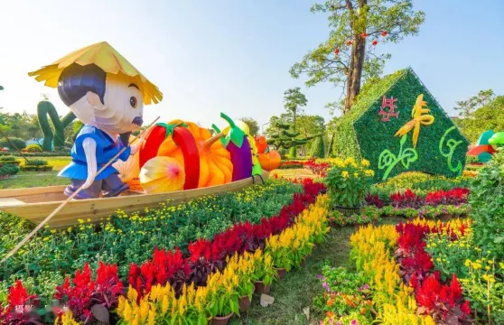 中山小欖菊展盛會