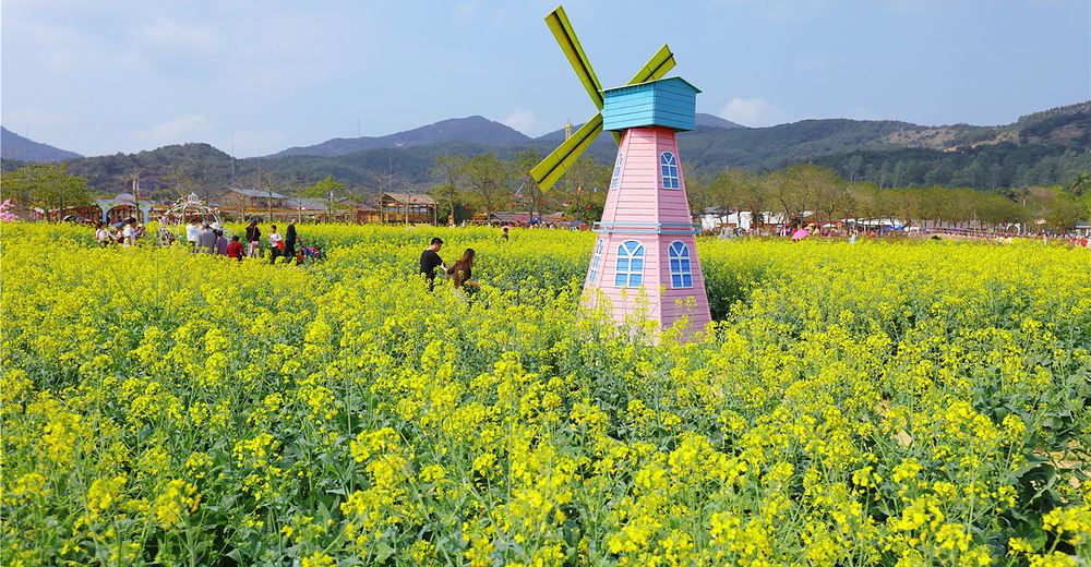 高明盈香生態園