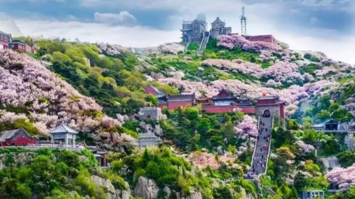 泰山