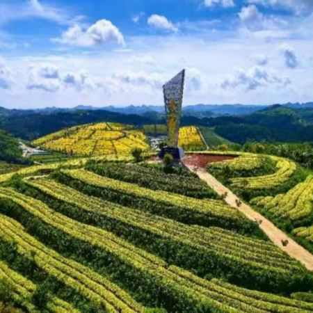 光影貴州‧打卡自然風光‧茶香橋韻※ 貴陽、安順、興義5天純玩高鐵團 中國及亞洲第一大瀑布~黃果樹大瀑布、萬峰林、龍宮龍字田、黃金芽茶葉種植基地、遠眺花江峽谷大橋、貴陽地標甲秀樓夜景