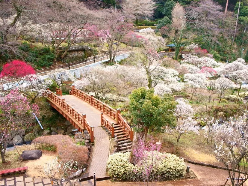 熱海梅園