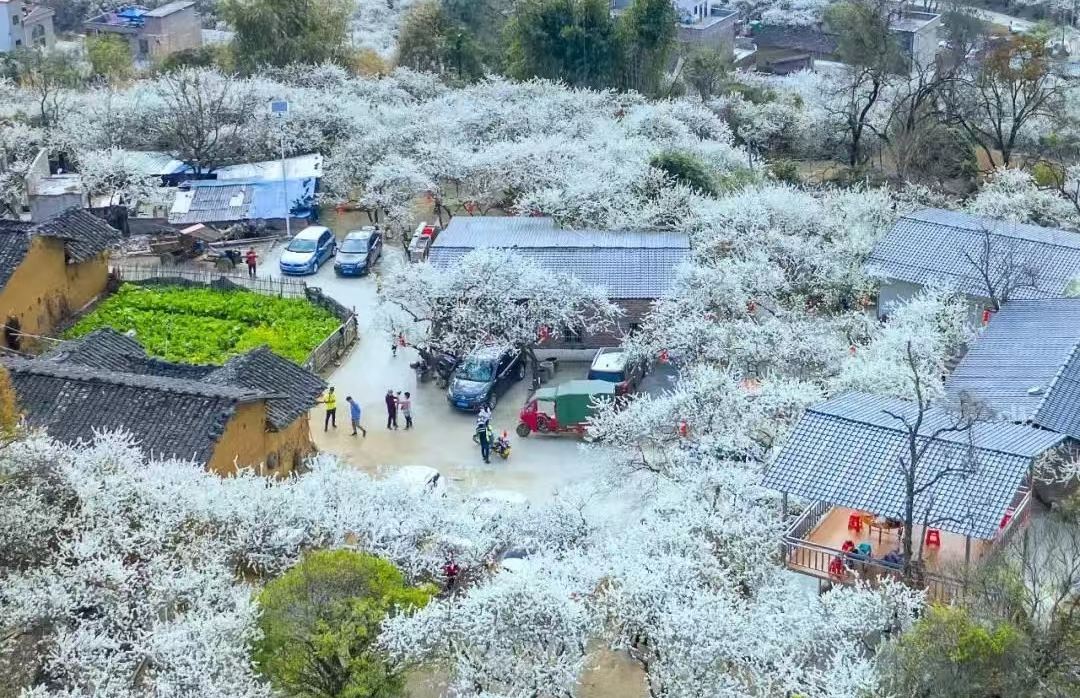 千亩梨花谷~水浪花谷