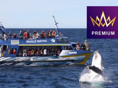 【季節限定~國泰直航】新西蘭南北島10天尋找鯨魚蹤跡直航團《2026年(大年初一)》/乘坐觀鯨船出海尋找鯨魚蹤跡/往水果小鎮美譽之稱的克倫威爾,體驗即摘新鮮時令水果/乘坐橡皮艇遊冰河湖,觀賞冰河的壯觀 【季節限定~國泰直航】新西蘭南北島10天尋找鯨魚蹤跡直航團《2026年(大年初一)》/乘坐觀鯨船出海尋找鯨魚蹤跡/往水果小鎮美譽之稱的克倫威爾,體驗即摘新鮮時令水果/乘坐橡皮艇遊冰河湖,觀賞冰河的壯觀