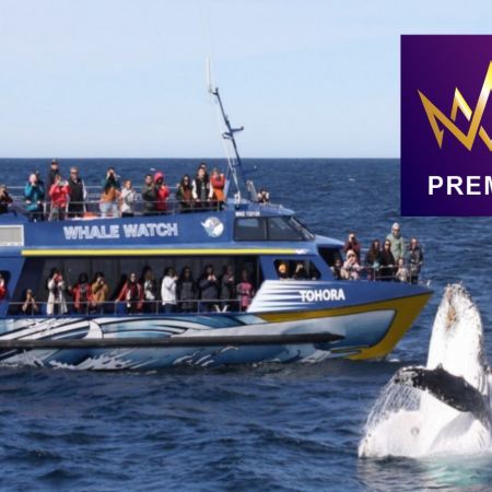 【季節限定~國泰直航】新西蘭南北島10天尋找鯨魚蹤跡直航團《2026年(大年初一)》/乘坐觀鯨船出海尋找鯨魚蹤跡/往水果小鎮美譽之稱的克倫威爾，體驗即摘新鮮時令水果/乘坐橡皮艇遊冰河湖，觀賞冰河的壯觀