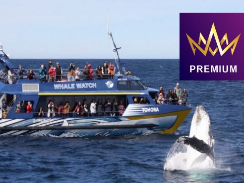 【季節限定~國泰直航】新西蘭南北島10天尋找鯨魚蹤跡直航團《2026年(大年初一)》/乘坐觀鯨船出海尋找鯨魚蹤跡/往水果小鎮美譽之稱的克倫威爾，體驗即摘新鮮時令水果/乘坐橡皮艇遊冰河湖，觀賞冰河的壯觀