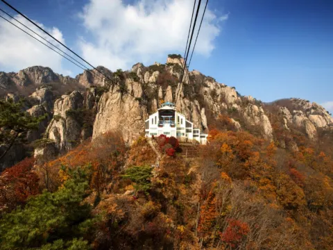 大芚山道立公園