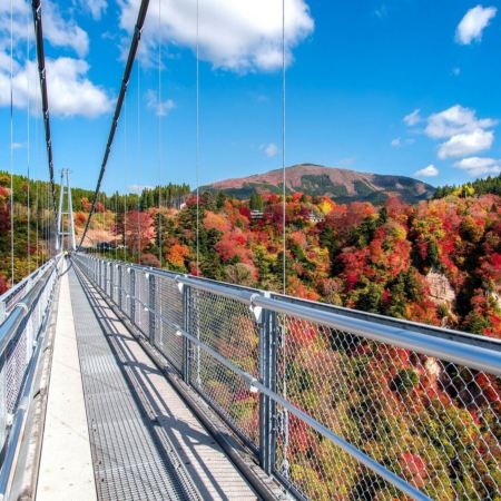 九州の秋 6天賞楓溫泉之旅   賞紅葉名所( 九重夢吊橋、「日本三大名城」熊本城、金鱗湖、「米芝蓮景點推介」太宰府～天滿宮、糸島+「賞紅葉名所」雷山千如寺)、御船山樂園紅葉祭/ 武雄温泉樓門
