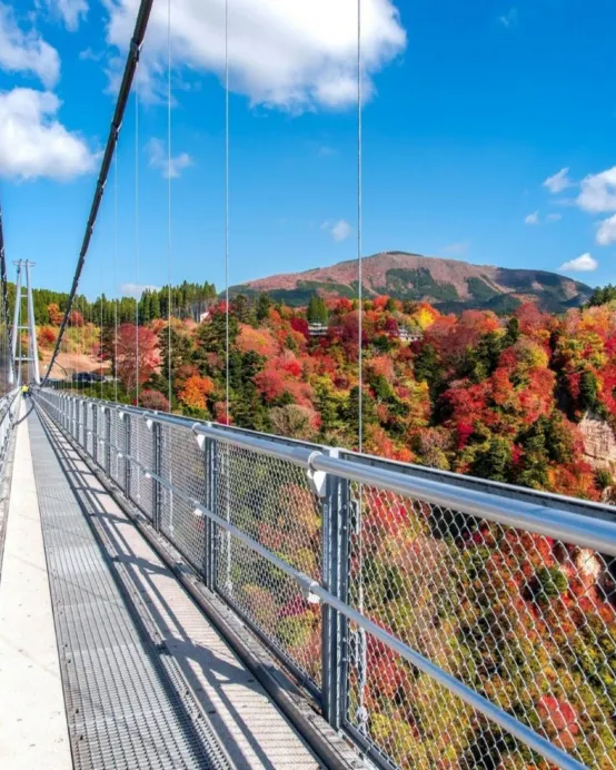 九州の秋 6天賞楓溫泉之旅 賞紅葉名所( 九重夢吊橋、「日本三大名城」熊本城、金鱗湖、「米芝蓮景點推介」太宰府~天滿宮、糸島+「賞紅葉名所」雷山千如寺)、御船山樂園紅葉祭/ 武雄温泉樓門