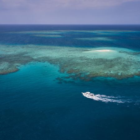【12月25日聖誕出發】國泰航空直航澳洲開恩茲~探索世界遺產奇觀~昆士蘭大堡礁6天夏日之旅【稅項全包】-開恩茲水族館/乘坐高速遊船暢玩大堡礁/戴恩樹雨林探索之旅/包乘庫蘭達觀光火車及熱帶雨林纜車