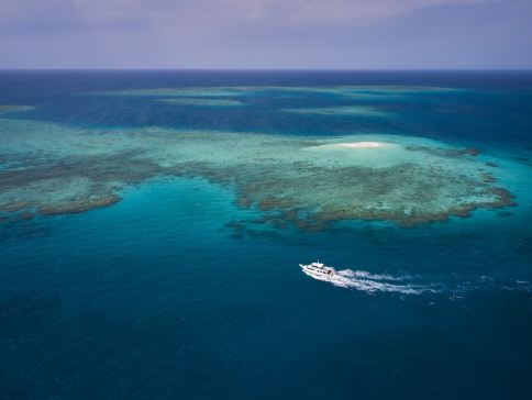 【12月25日聖誕出發】國泰航空直航澳洲開恩茲~探索世界遺產奇觀~昆士蘭大堡礁6天夏日之旅【稅項全包】-開恩茲水族館/乘坐高速遊船暢玩大堡礁/戴恩樹雨林探索之旅/包乘庫蘭達觀光火車及熱帶雨林纜車
