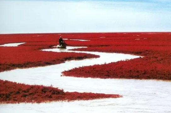 紅海灘國家風景廊道