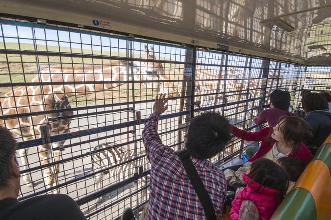 九州自然動物公園