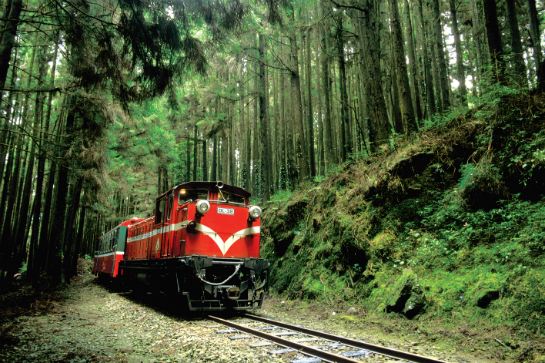 阿里山小火車穿梭森林
