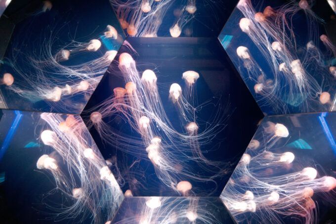 九十九島水族館