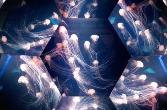 九十九島水族館