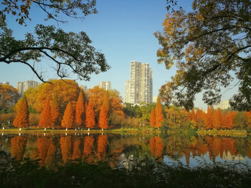 觀山湖公園