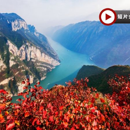 【4鑽】大美巫山賞楓🍁、白帝城、瞿塘峽、重慶 6天純玩高鐵團  巫山小三峽+小小三峽、神女天路、三峽之心、獨家觀景台下午茶、巫山博物館、寧江渡公園、瞿塘峽深度遊船、白帝城景區、洪崖洞夜景