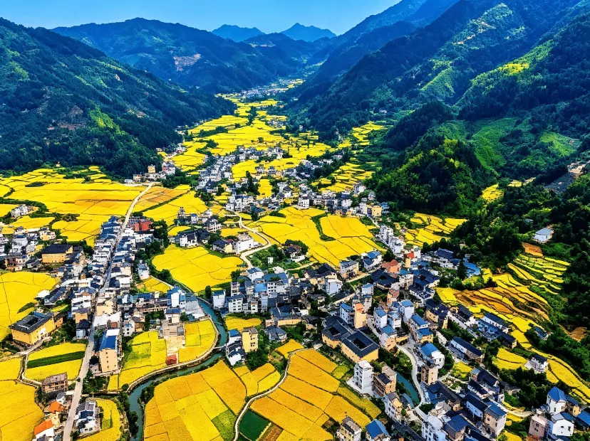 永定奧杳村~秋季
