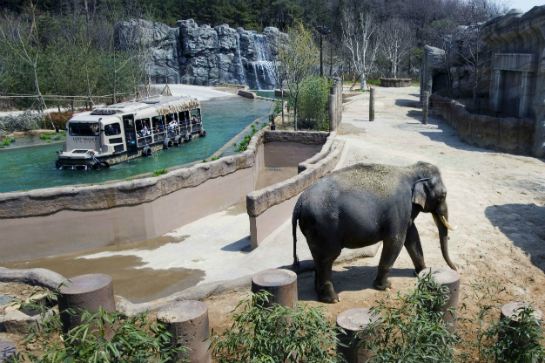 繽紛夢樂園野生探險水陸兩用車