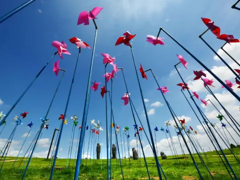 DMZ非武裝地帶~和平Nuri公園